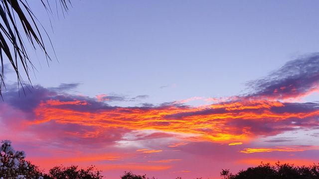 1818 10th Avenue, Vero Beach, FL 32960