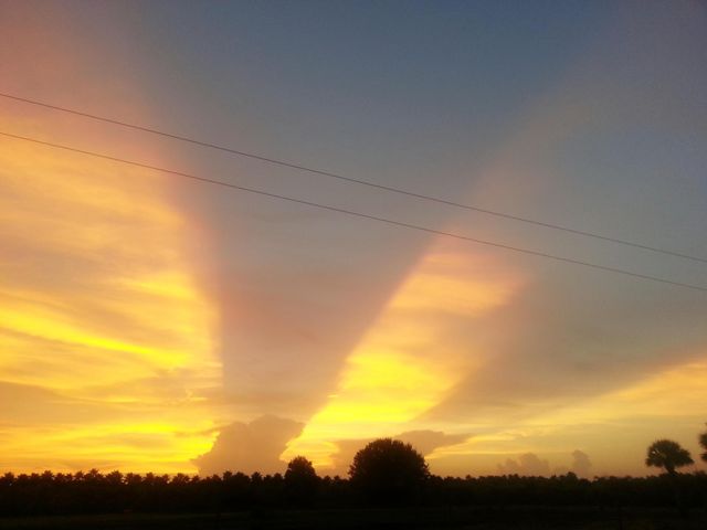 1818 10th Avenue, Vero Beach, FL 32960