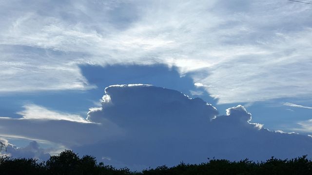 1818 10th Avenue, Vero Beach, FL 32960