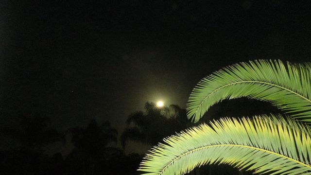 1818 10th Avenue, Vero Beach, FL 32960