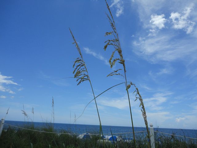 1818 10th Avenue, Vero Beach, FL 32960