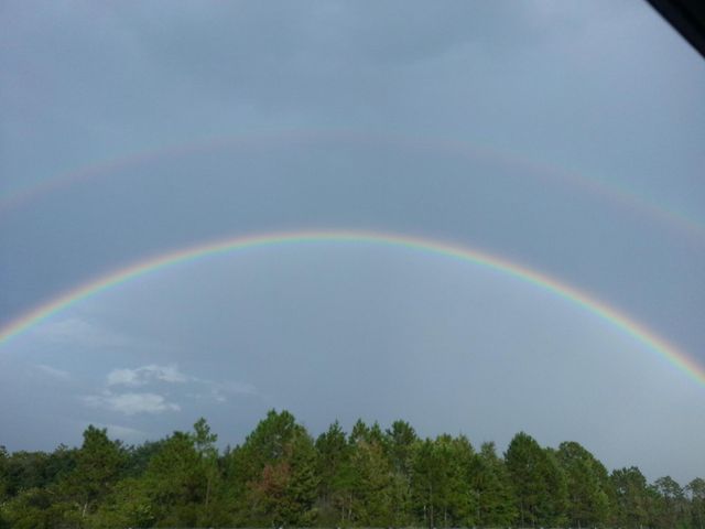 1818 10th Avenue, Vero Beach, FL 32960