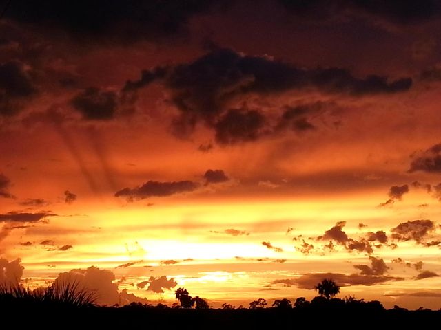 1818 10th Avenue, Vero Beach, FL 32960