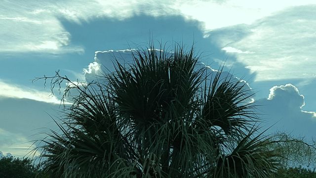 1818 10th Avenue, Vero Beach, FL 32960