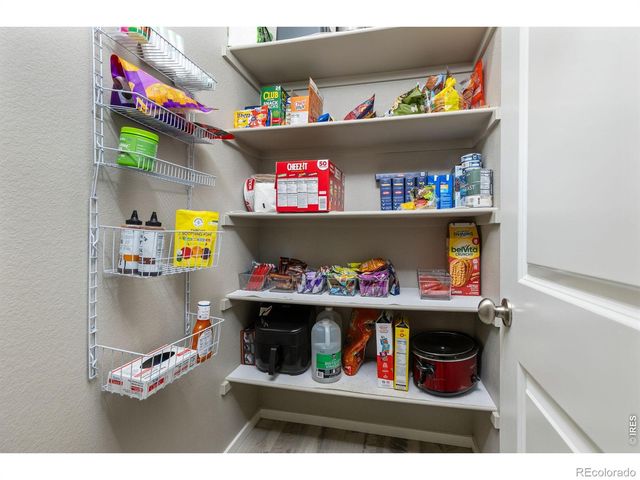 3663 Ronald Reagan Avenue, Wellington, CO 80549
