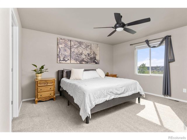 3663 Ronald Reagan Avenue, Wellington, CO 80549