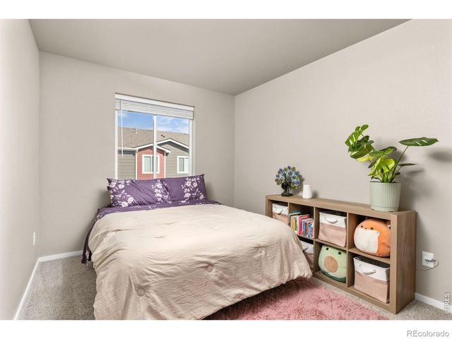 3663 Ronald Reagan Avenue, Wellington, CO 80549