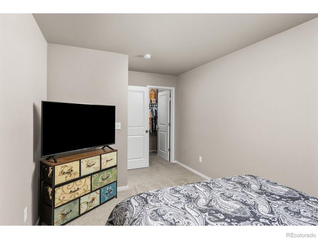 3663 Ronald Reagan Avenue, Wellington, CO 80549