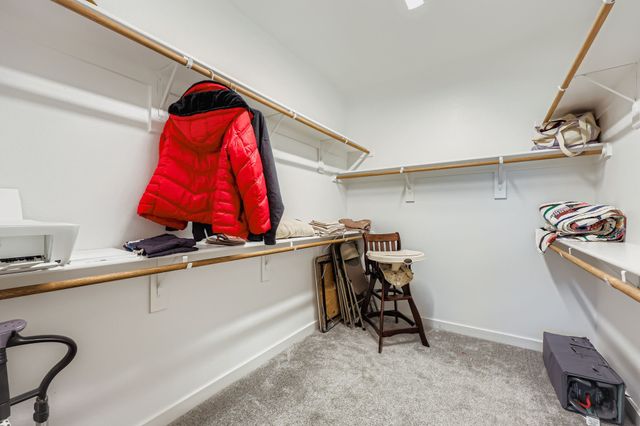 3851 Marigold Lane, Prosper, TX 75078