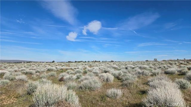 0 Ave C vicinity 264th St W, Fairmont, CA 93536