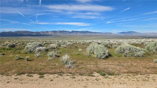 0 Ave C vicinity 264th St W, Fairmont, CA 93536