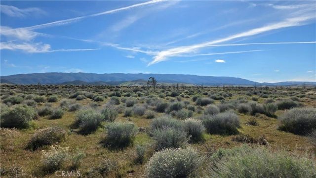 0 Ave C vicinity 264th St W, Fairmont, CA 93536