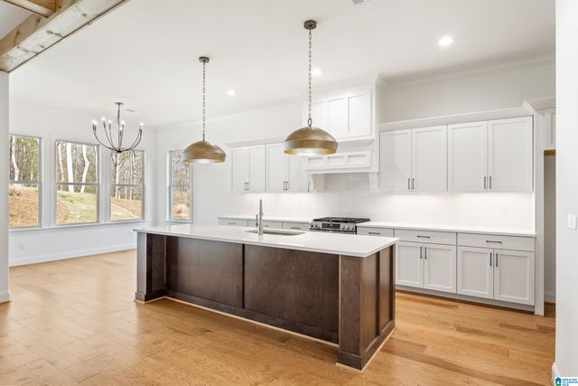 660 LIME CREEK WAY, Chelsea, AL 35043