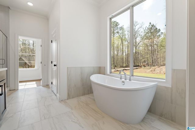 660 LIME CREEK WAY, Chelsea, AL 35043