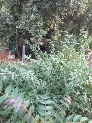 0 Edendale, Los Angeles, CA 90039