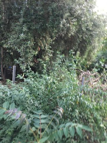 0 Edendale, Los Angeles, CA 90039