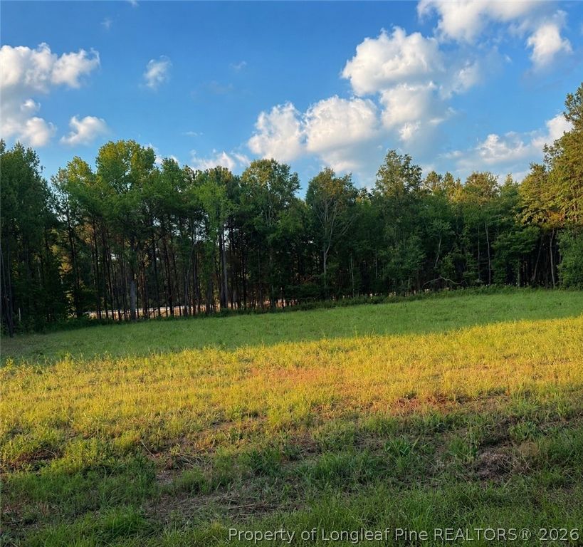 TBD Myrtle Road, Roseboro, NC 28382 — exterior