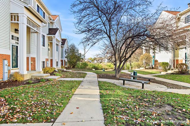 548 New Haven Drive 548, Cary, IL 60013