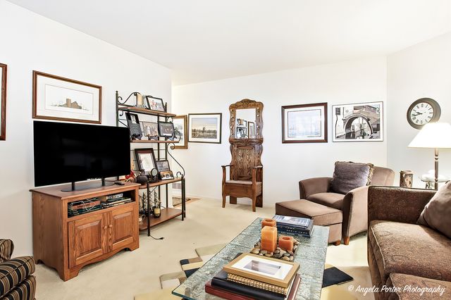 548 New Haven Drive 548, Cary, IL 60013