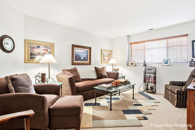 548 New Haven Drive 548, Cary, IL 60013