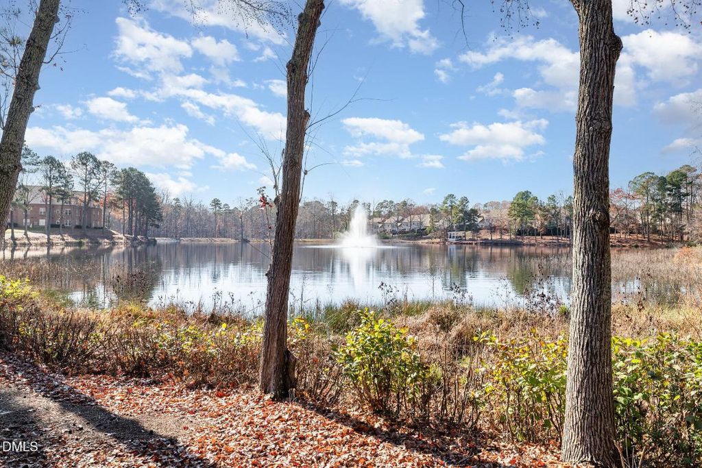 8231 Allyns Landing Way 101, Raleigh, NC 27615