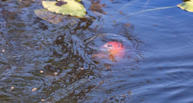 32801 Us-441 43, Okeechobee, FL 34972