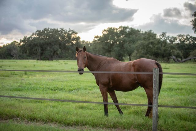 32801 Us-441 43, Okeechobee, FL 34972