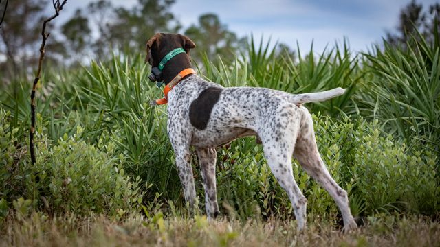 32801 Us-441 43, Okeechobee, FL 34972