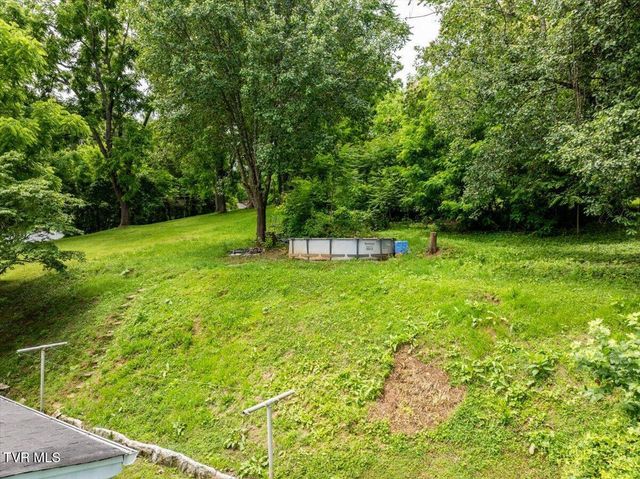 406 Hill Drive, Bristol, VA 24201