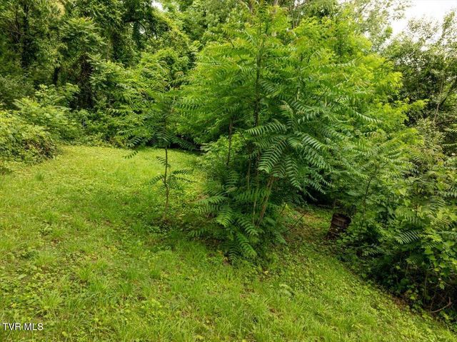 406 Hill Drive, Bristol, VA 24201