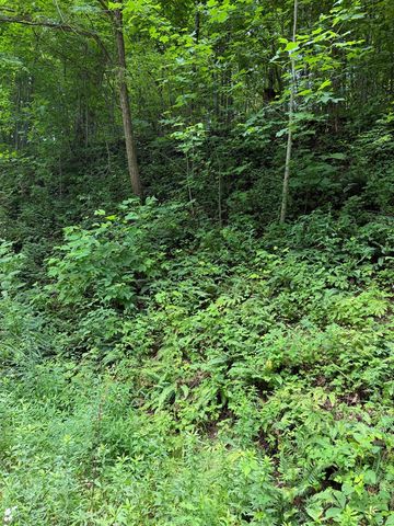 0 Outlook Road, Murphy, NC 28906