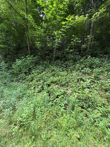 0 Outlook Road, Murphy, NC 28906