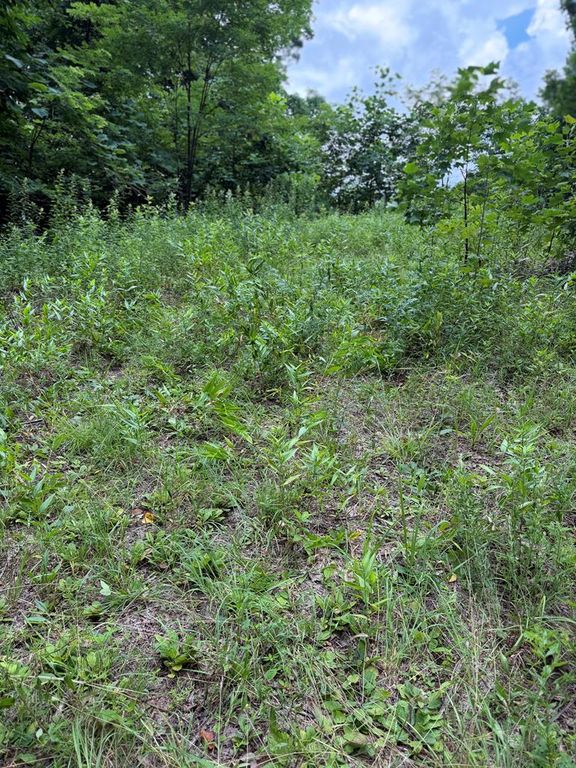 0 Outlook Road, Murphy, NC 28906