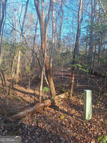 LOTS 15A 16A 17 Mill Creek Acres Lane, Blue Ridge, GA 30513