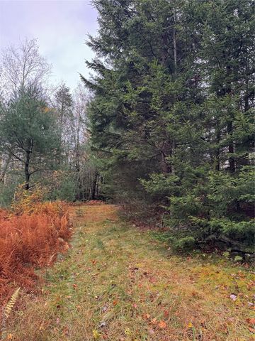 296 Southwoods Drive, Monticello, NY 12701