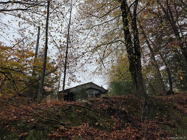 296 Southwoods Drive, Monticello, NY 12701