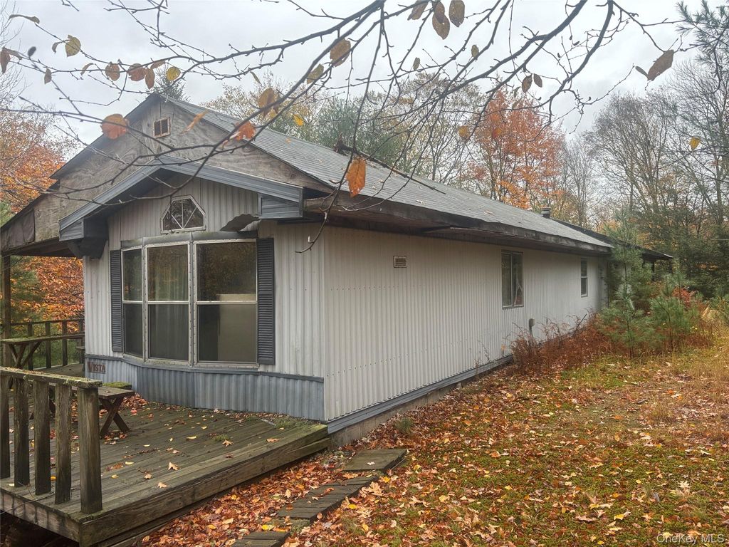 296 Southwoods Drive, Monticello, NY 12701