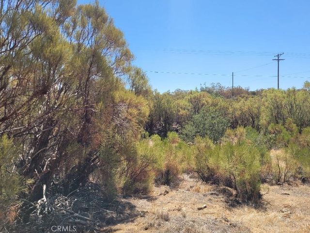0 Terwilliger Road, Anza, CA 92539