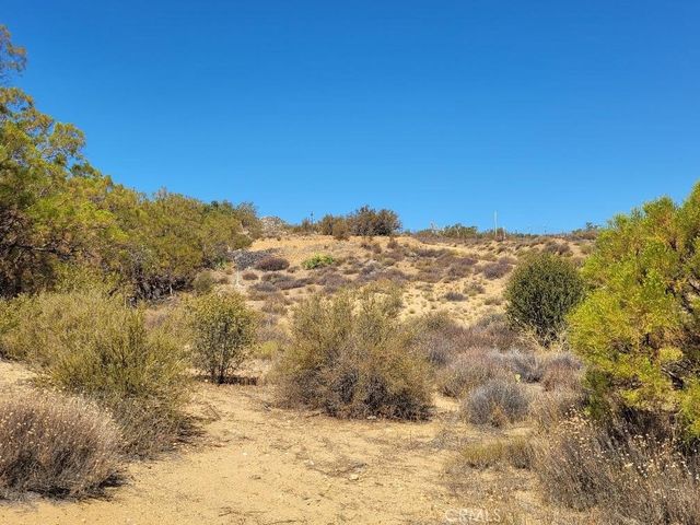 0 Terwilliger Road, Anza, CA 92539