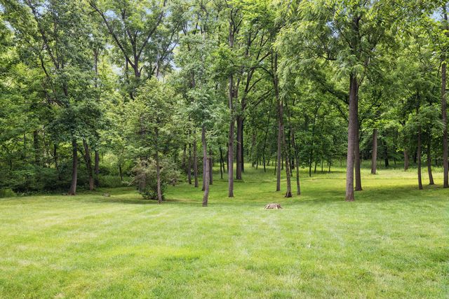 16261 W Ridgewood Drive, Homer Glen, IL 60491