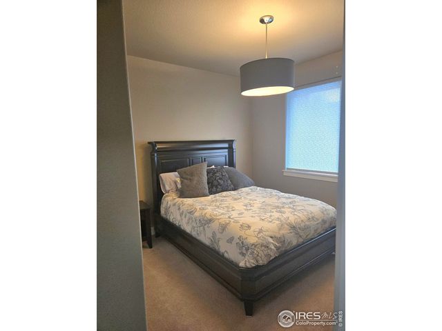 7292 McClellan Rd, Wellington, CO 80549