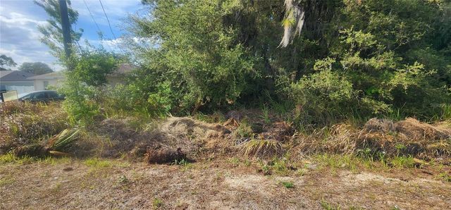 Lot 19 DOGWOOD DRIVE LOOP, Ocala, FL 34472