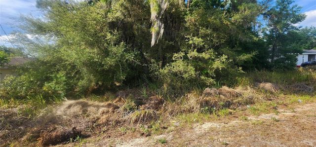 Lot 19 DOGWOOD DRIVE LOOP, Ocala, FL 34472