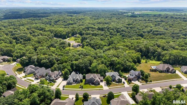 919 COPPERPOINT Drive, Dunlap, IL 61525