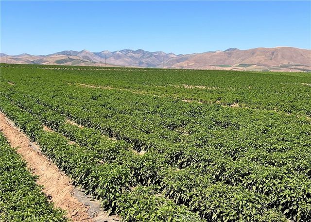 3480 Orcutt Garey Road, Santa Maria, CA 93454