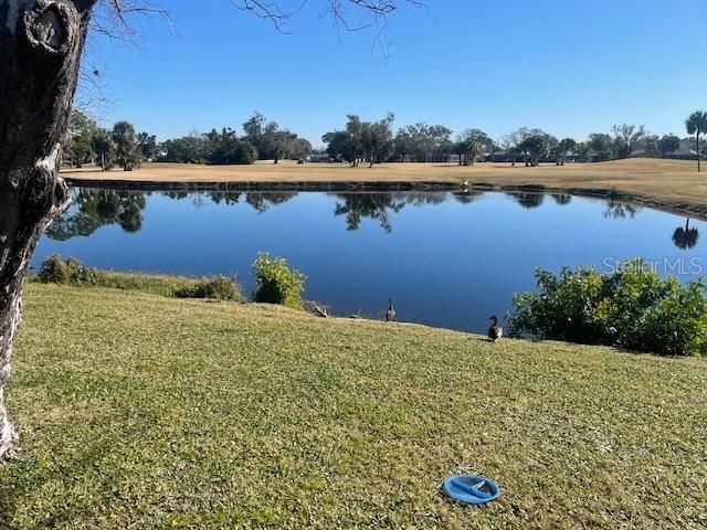 6823 GREENBRIER DRIVE, Seminole, FL 33777