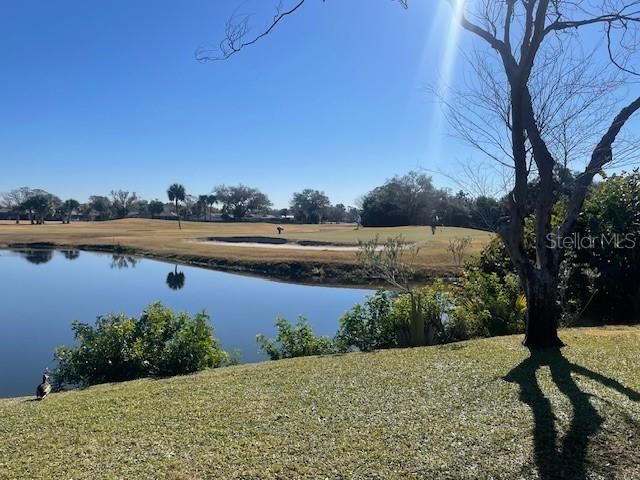 6823 GREENBRIER DRIVE, Seminole, FL 33777