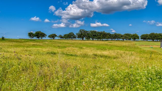2013 swallowtail ct, Poolville, TX 76487