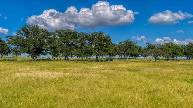 2013 swallowtail ct, Poolville, TX 76487