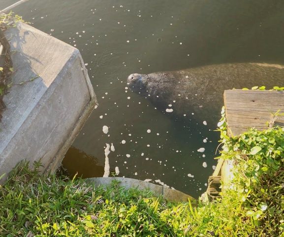 632 SHORE DRIVE, Largo, FL 33771